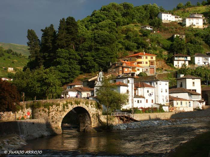 Hostal Los Nogales Cangas De Narcea Kültér fotó